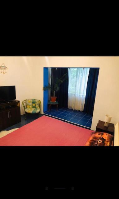 Wld House Apartment คอนสตันซา ภายนอก รูปภาพ
